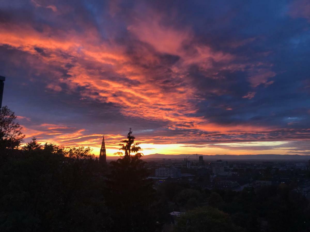 Ferienwohnung-Freiburg-Exklusiv エクステリア 写真