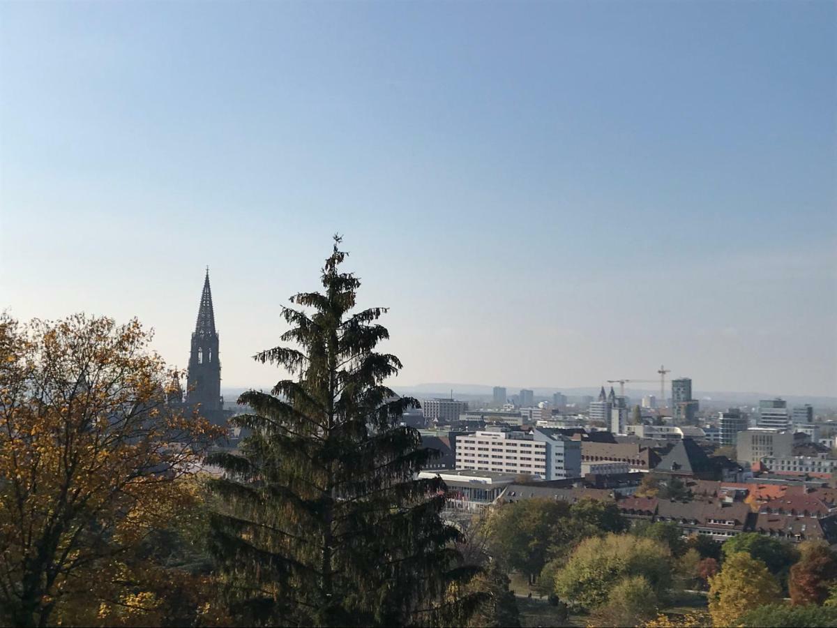 Ferienwohnung-Freiburg-Exklusiv エクステリア 写真