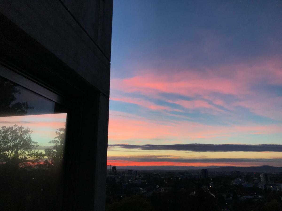 Ferienwohnung-Freiburg-Exklusiv エクステリア 写真