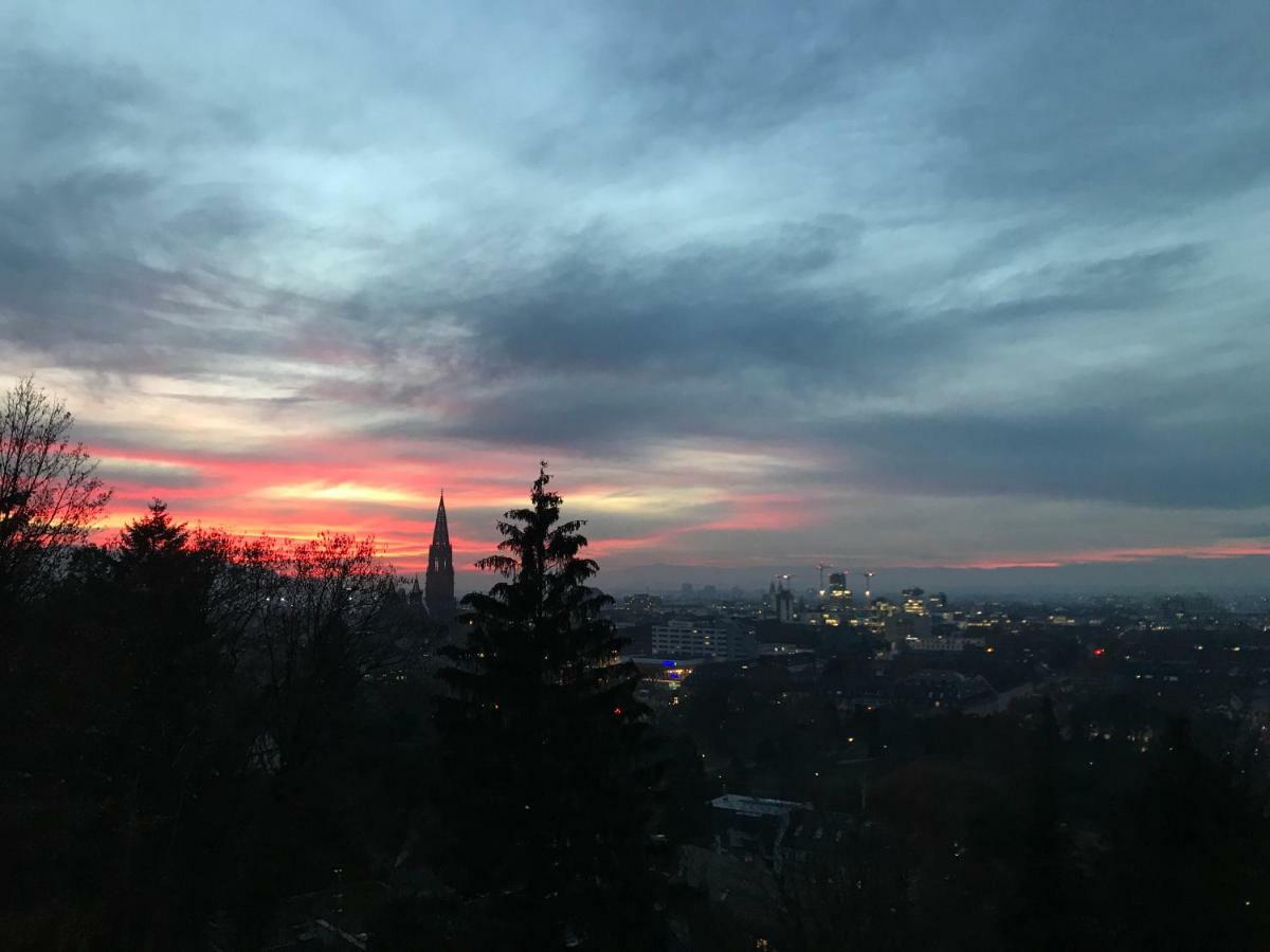 Ferienwohnung-Freiburg-Exklusiv エクステリア 写真